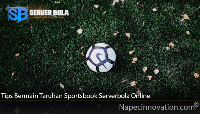 Tips Bermain Taruhan Sportsbook Serverbola Online